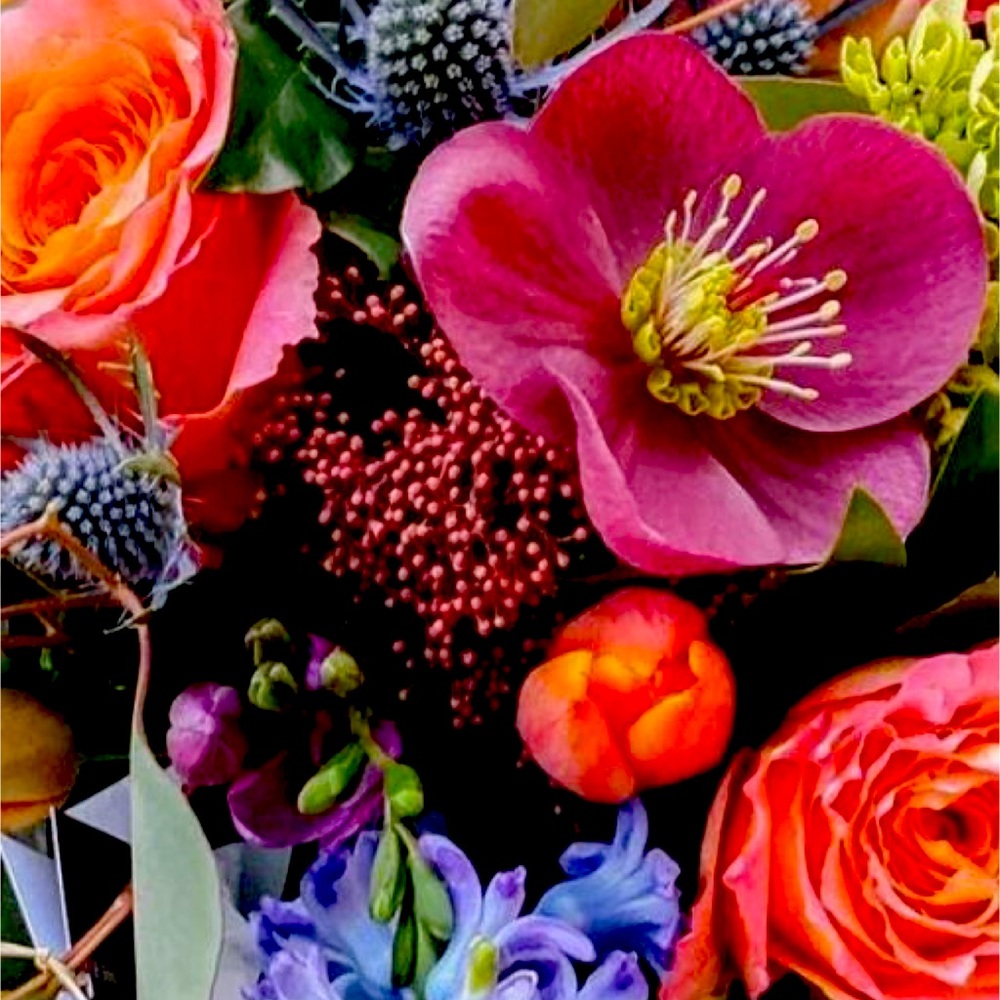 Meet your Posher, Shay